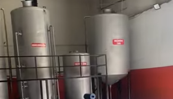 Video 1